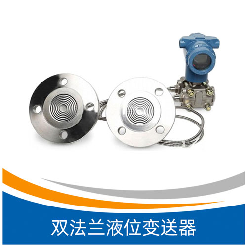 XEY305型双法兰液位变送器